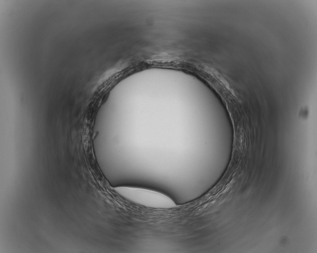 X0000091521350200708171001