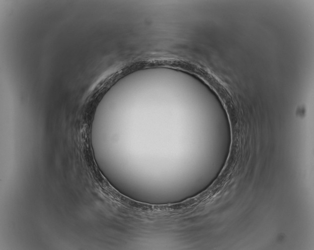 X0000091521351200708171001