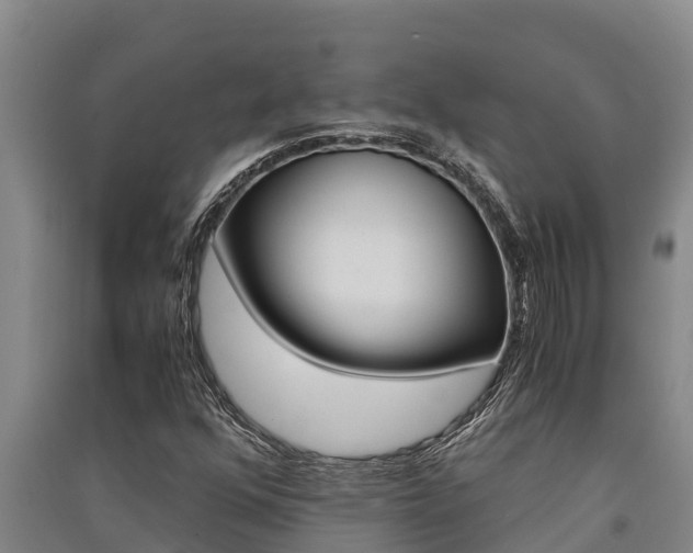 X0000091521352200708171001