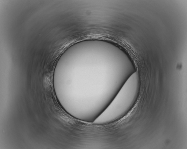 X0000091521353200708171001