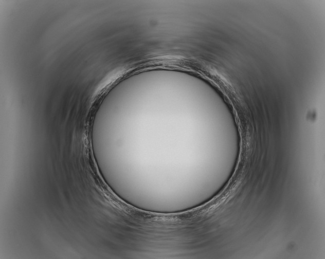 X0000091521354200708171001