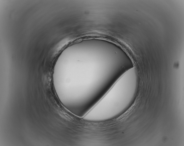 X0000091521355200708171001