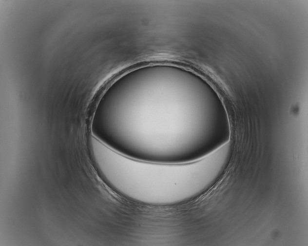 X0000091521356200708171001