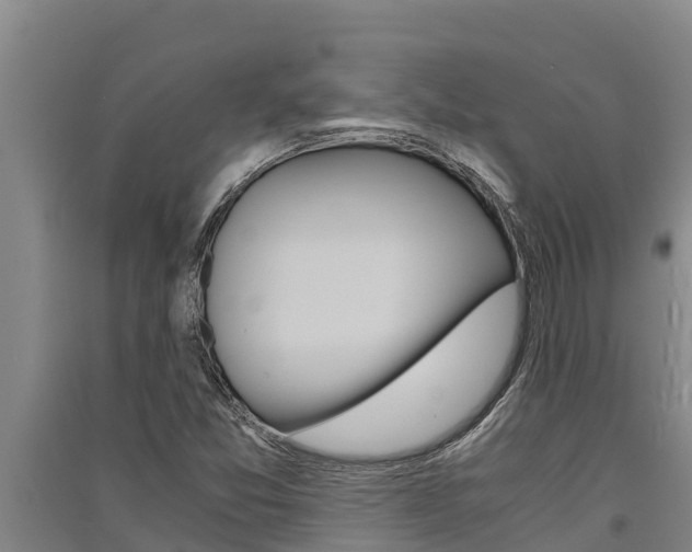 X0000091521357200708171001