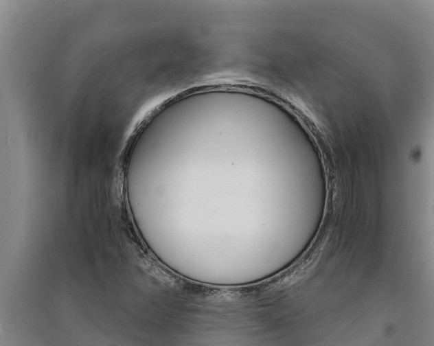 X0000091521358200708171001