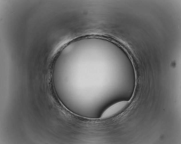 X0000091521359200708171001