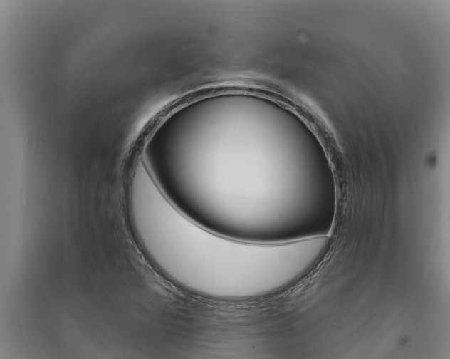 X0000091521360200708171001