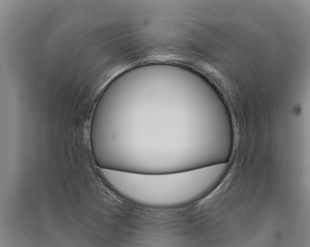 X0000091521361200708171001