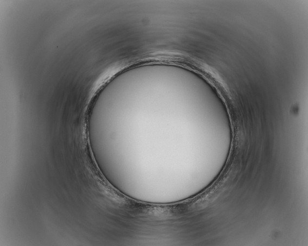 X0000091521362200708171001