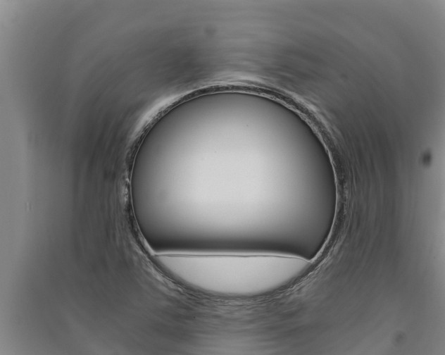 X0000091521363200708171001