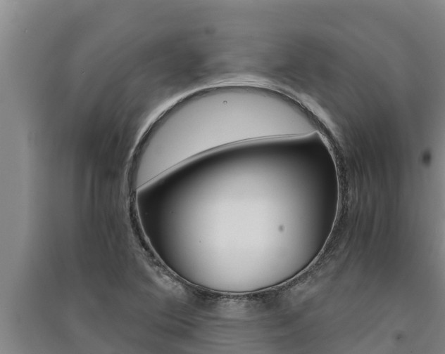 X0000091521364200708171001