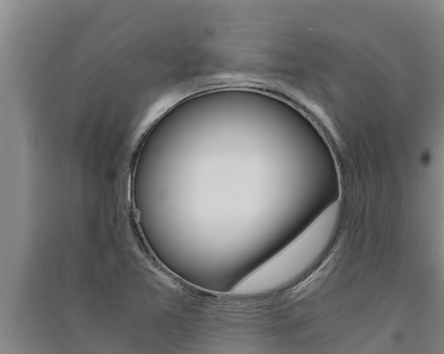 X0000091521365200708171001