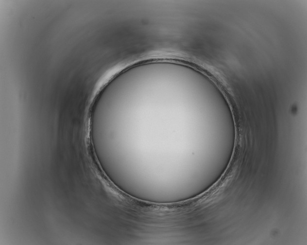 X0000091521366200708171001