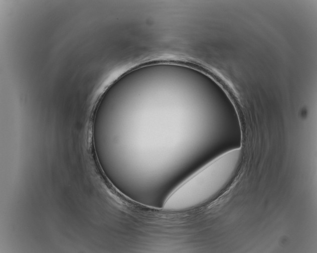 X0000091521367200708171001