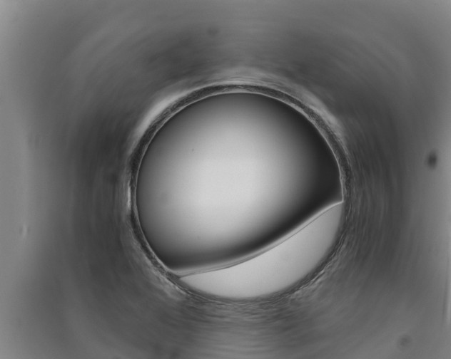 X0000091521368200708171001