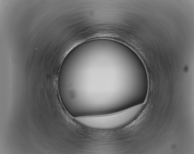 X0000091521369200708171001