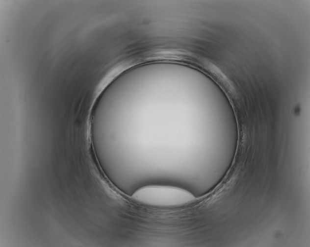 X0000091521370200708171001