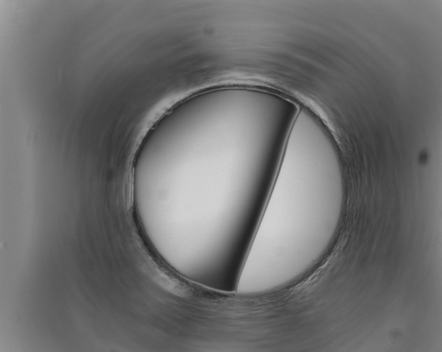 X0000091521371200708171001