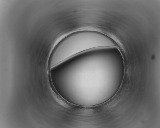 X0000091521372200708171001