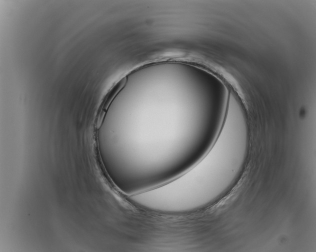 X0000091521373200708171001