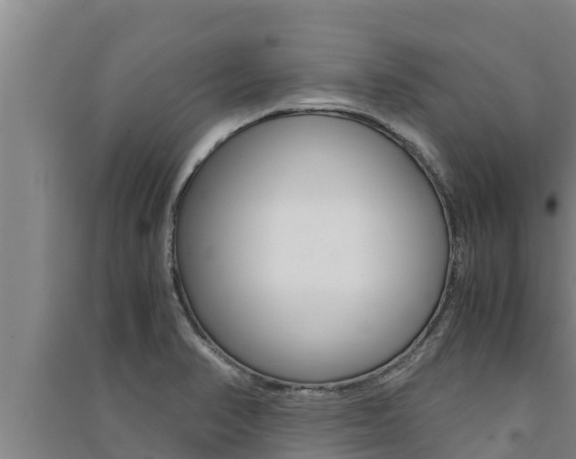 X0000091521374200708171001