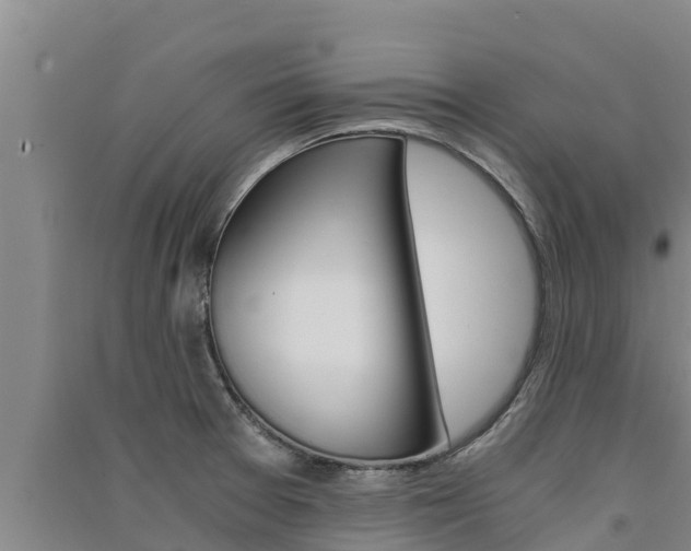 X0000091521377200708171001