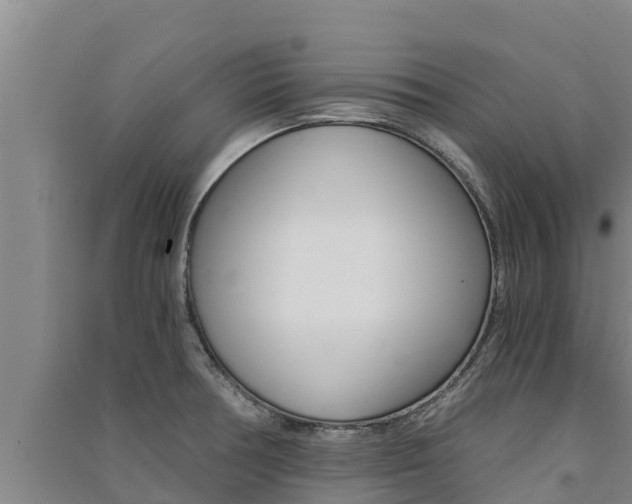 X0000091521378200708171001