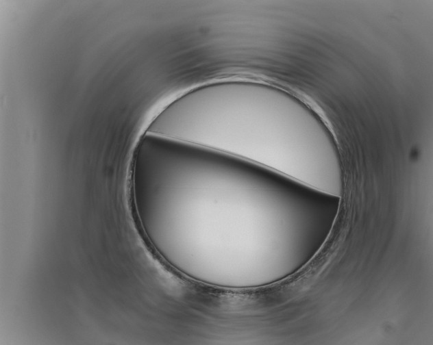 X0000091521379200708171001