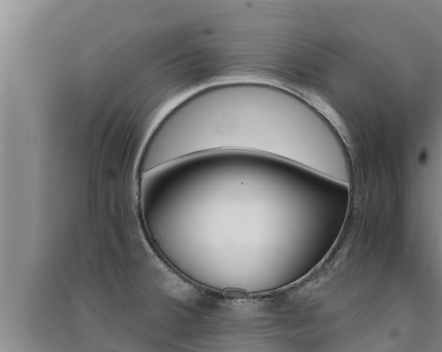 X0000091521380200708171001