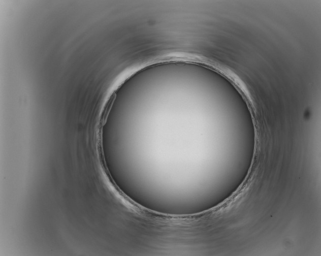 X0000091521381200708171001