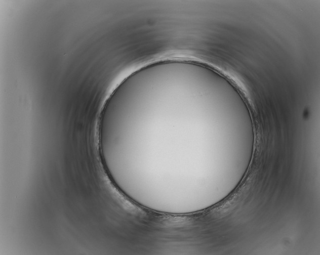 X0000091521382200708171001
