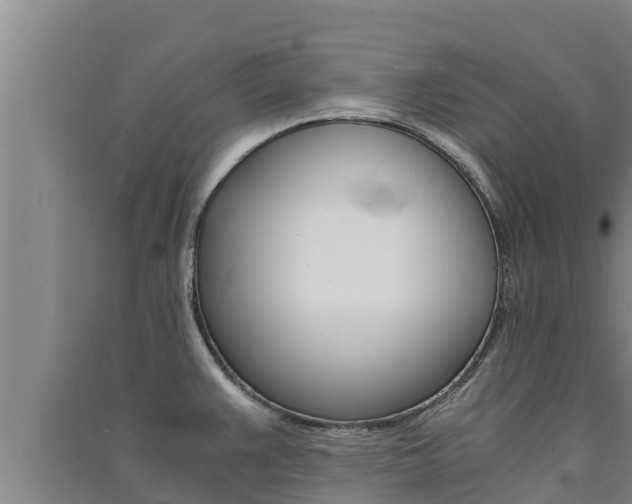 X0000091521383200708171001