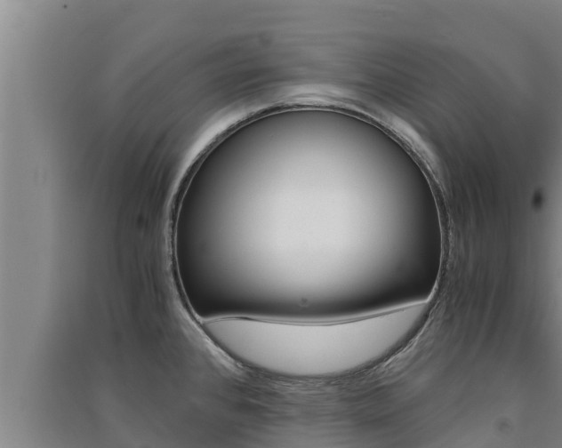 X0000091521384200708171001