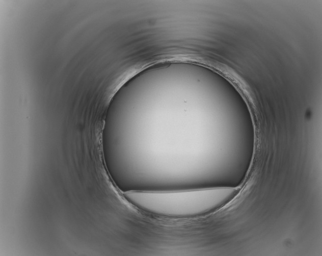 X0000091521385200708171001
