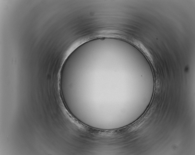 X0000091521386200708171001