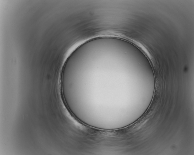 X0000091521387200708171001