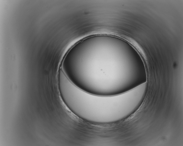 X0000091521388200708171001