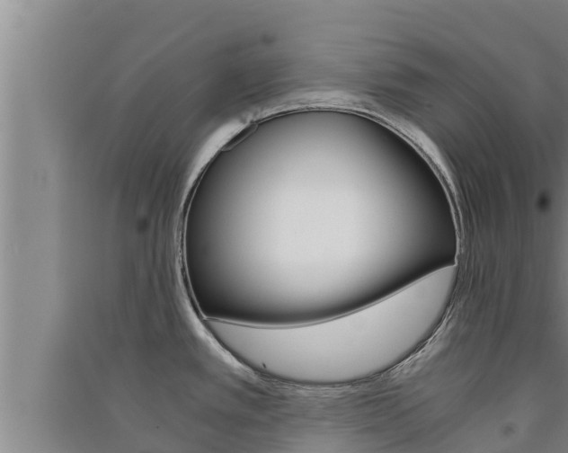 X0000091521389200708171001