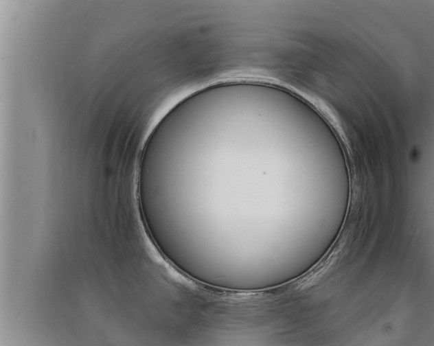 X0000091521390200708171001