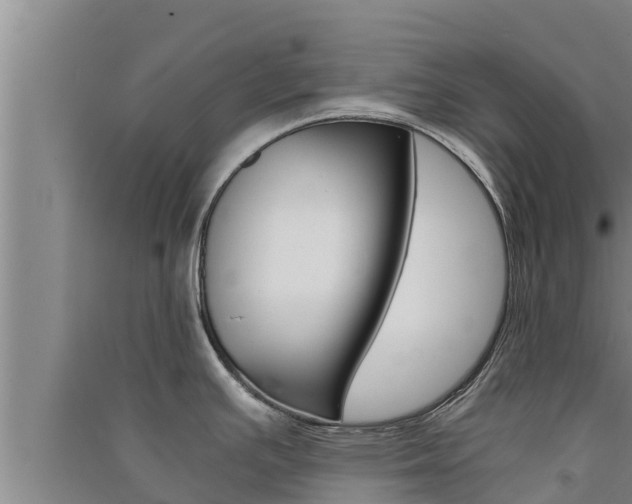 X0000091521391200708171001