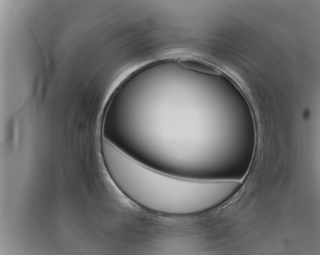 X0000091521392200708171001