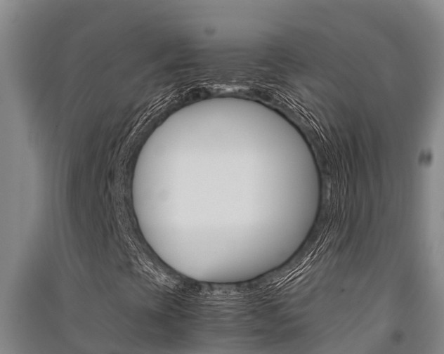 X0000091521393200708171000