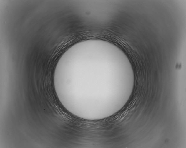 X0000091521394200708171000