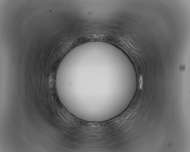 X0000091521395200708171000