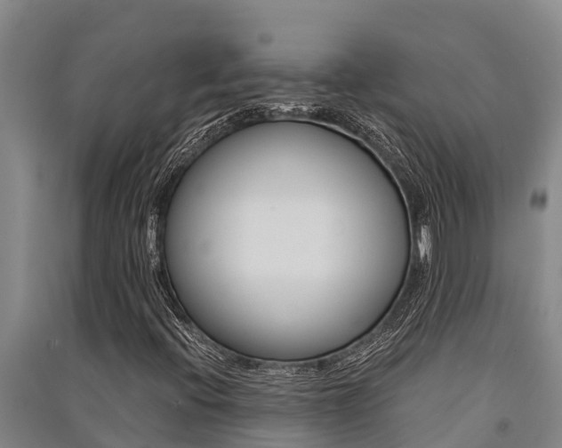 X0000091521396200708171000