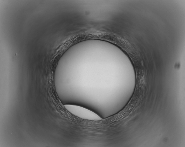 X0000091521397200708171000