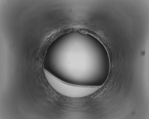 X0000091521398200708171000