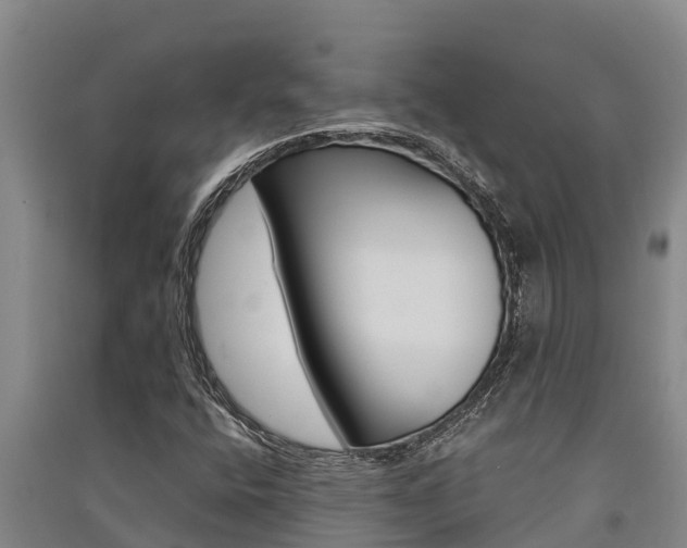 X0000091521400200708171000