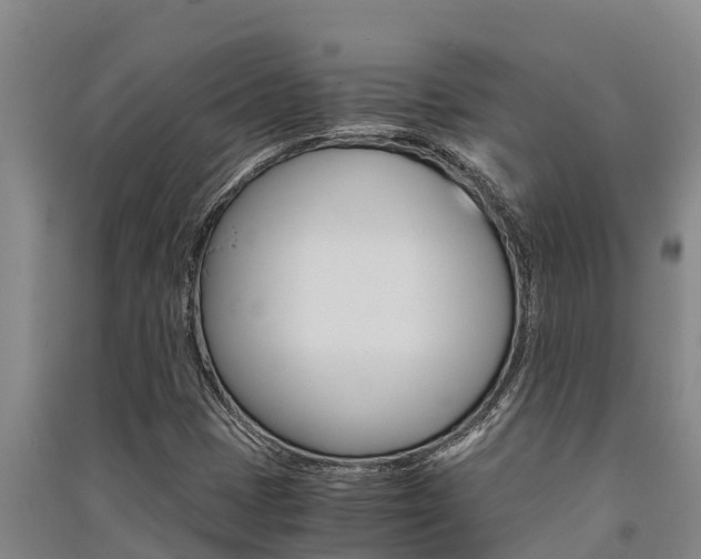 X0000091521401200708171000