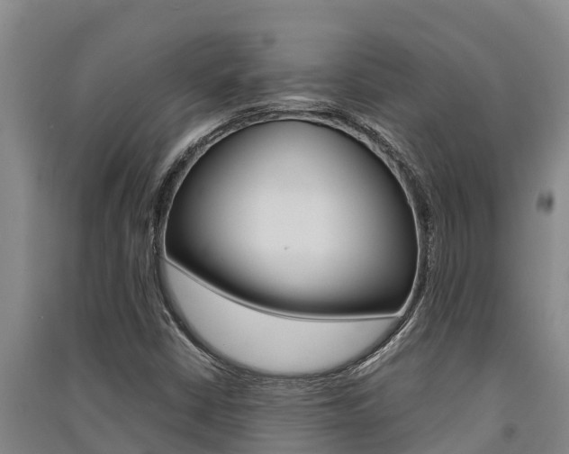 X0000091521402200708171000